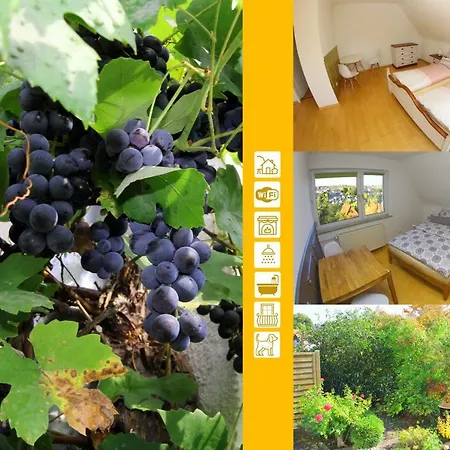Holiday home An Der Weinrebe Das Ferienhaus In Bad Hersfeld